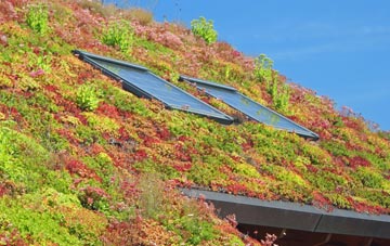 Parsons Green living roof systems